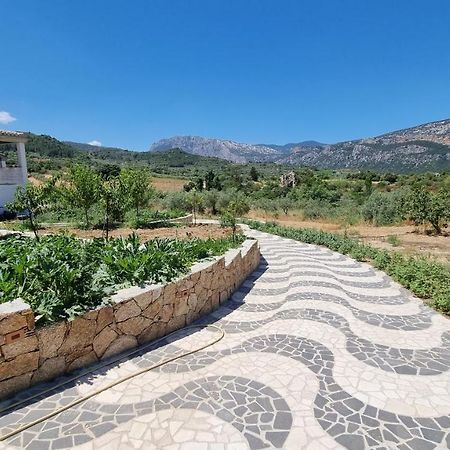 Villa Biriculi 多尔加利 外观 照片