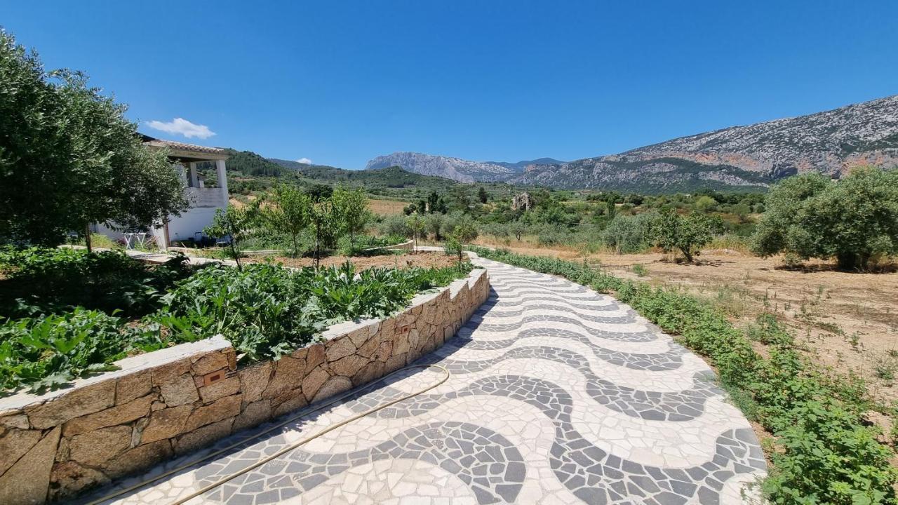 Villa Biriculi 多尔加利 外观 照片